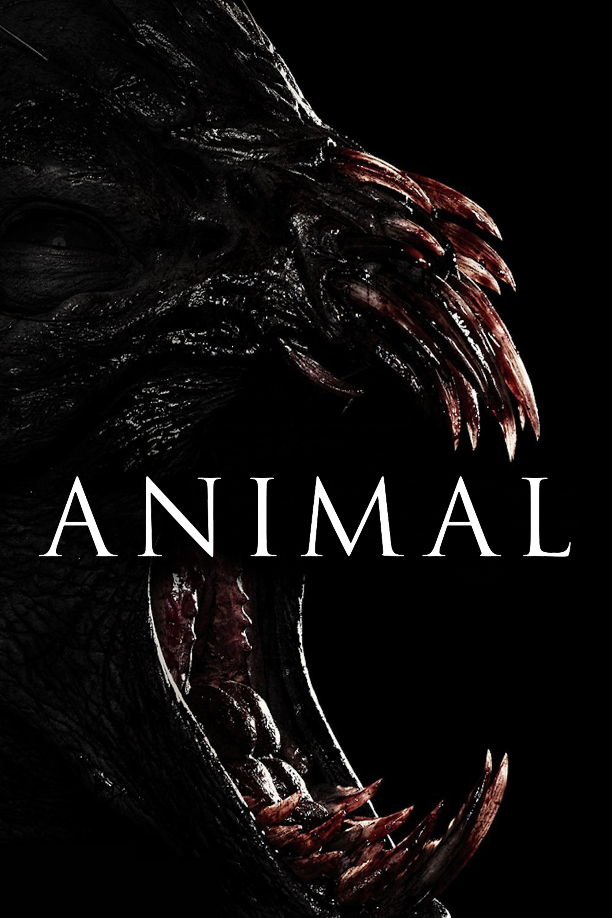 Animal – HD 1080p