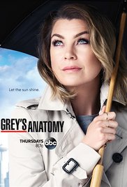 Greys Anatomy 12° Temporada – HD 720p Leg