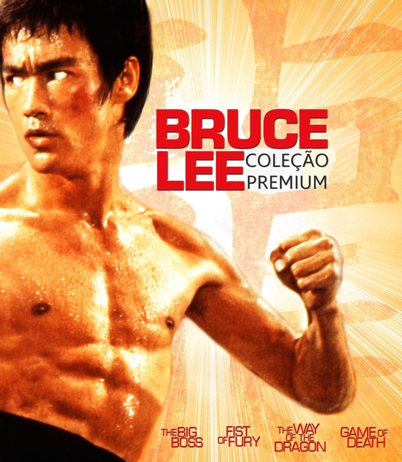 Bruce Lee Coleção Premium (1971 – 1981) – HD 720p Dual Áudio