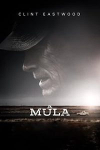 A Mula (2019) HD WEB-DL 1080p e 720p / 4k 2160p Dual Áudio / Legendado