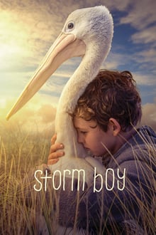 Storm Boy (2019) WEB-DL 720p e 1080p 5.1 HD Legendado