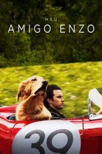 Meu Amigo Enzo (2019) HD BluRay 720p e 1080p Dual Áudio 5.1  Dublado